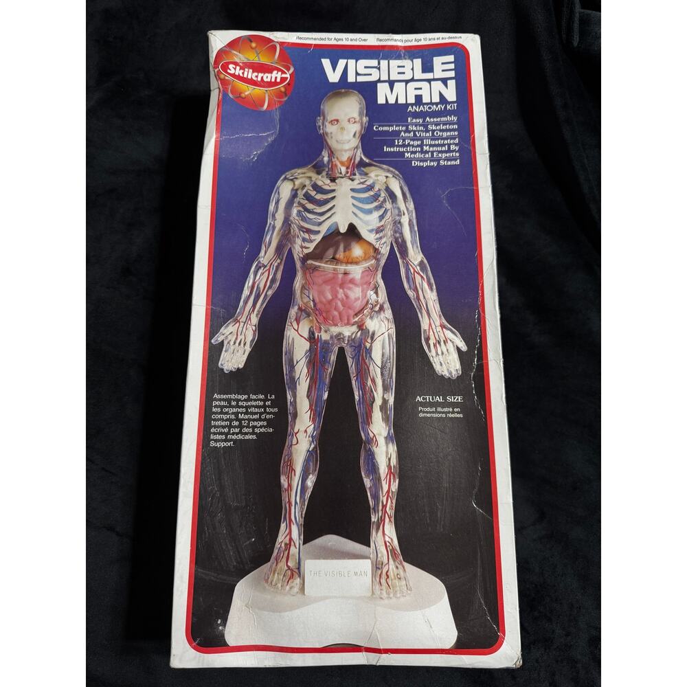 Skillcraft THE VISIBLE MAN Anatomy Kit 1994 Craft House Corp.